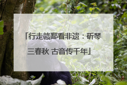 行走赣鄱看非遗：斫琴三春秋 古音传千年