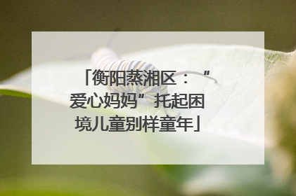 衡阳蒸湘区：“爱心妈妈”托起困境儿童别样童年