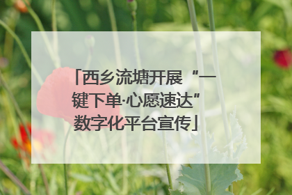 西乡流塘开展“一键下单·心愿速达”数字化平台宣传