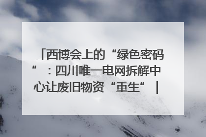 西博会上的“绿色密码”：四川唯一电网拆解中心让废旧物资“重生”｜西博寻“新”记