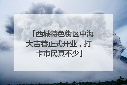西城特色街区中海大吉巷正式开业，打卡市民真不少