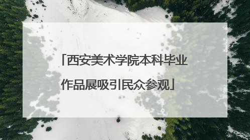 西安美术学院本科毕业作品展吸引民众参观