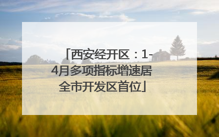 西安经开区：1-4月多项指标增速居全市开发区首位