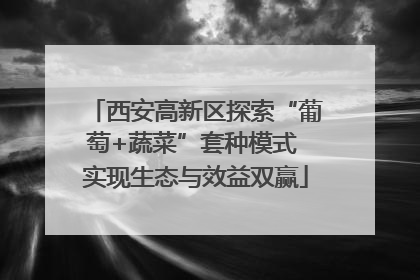 西安高新区探索“葡萄+蔬菜”套种模式 实现生态与效益双赢