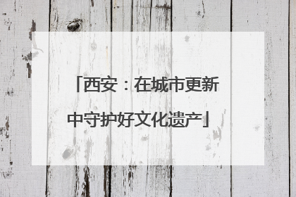 西安：在城市更新中守护好文化遗产