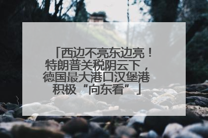 西边不亮东边亮！特朗普关税阴云下，德国最大港口汉堡港积极“向东看”