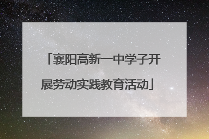 襄阳高新一中学子开展劳动实践教育活动