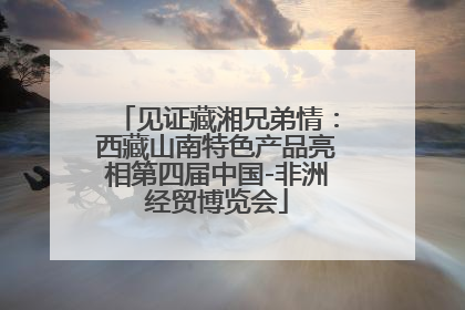 见证藏湘兄弟情：西藏山南特色产品亮相第四届中国-非洲经贸博览会