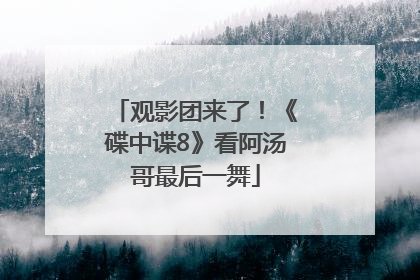 观影团来了！《碟中谍8》看阿汤哥最后一舞