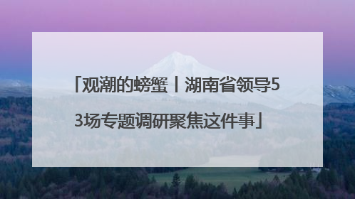 观潮的螃蟹丨湖南省领导53场专题调研聚焦这件事