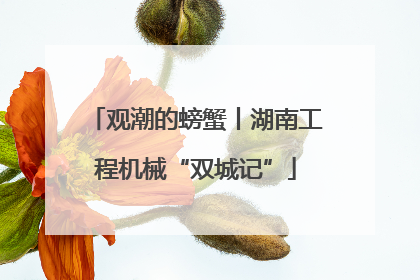 观潮的螃蟹丨湖南工程机械“双城记”