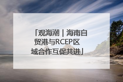 观海潮｜海南自贸港与RCEP区域合作互促共进