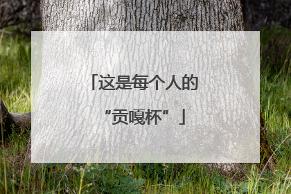 这是每个人的“贡嘎杯”