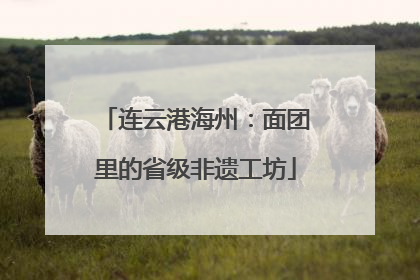 连云港海州：面团里的省级非遗工坊
