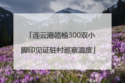 连云港赣榆300双小脚印见证驻村巡察温度