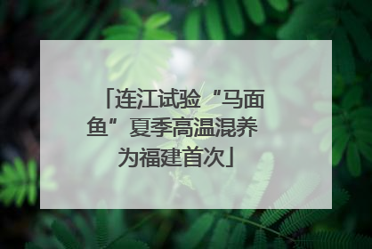 连江试验“马面鱼”夏季高温混养 为福建首次