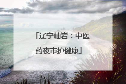 辽宁岫岩：中医药夜市护健康