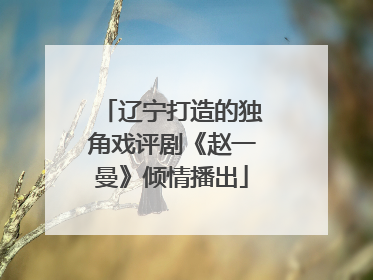 辽宁打造的独角戏评剧《赵一曼》倾情播出