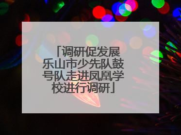 调研促发展 乐山市少先队鼓号队走进凤凰学校进行调研