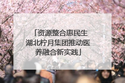 资源整合惠民生 湖北柠月集团推动医养融合新实践
