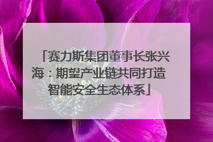 赛力斯集团董事长张兴海：期望产业链共同打造智能安全生态体系