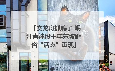 赛龙舟抓鸭子 岷江青神段千年东坡婚俗“活态”重现