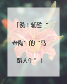 赞！辅警“老陶”的“马路人生”
