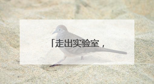 走出实验室，智能机器人组团“上岗”！