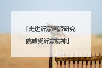 走进沂蒙画派研究院感受沂蒙精神