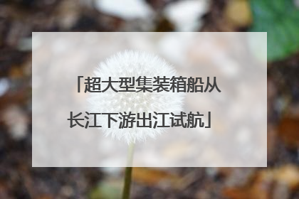 超大型集装箱船从长江下游出江试航