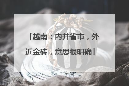 越南：内并省市，外近金砖，意思很明确