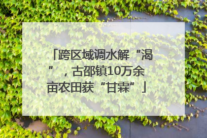 跨区域调水解“渴”，古邵镇10万余亩农田获“甘霖”