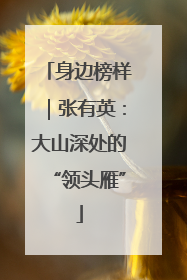 身边榜样｜张有英：大山深处的“领头雁”