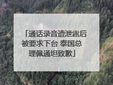 通话录音遭泄露后被要求下台 泰国总理佩通坦致歉