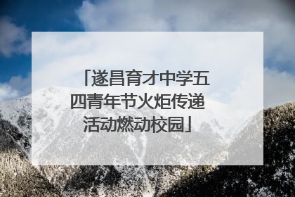 遂昌育才中学五四青年节火炬传递活动燃动校园