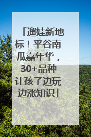 遛娃新地标！平谷南瓜嘉年华，30+品种让孩子边玩边涨知识