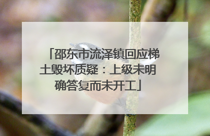 邵东市流泽镇回应梯土毁坏质疑：上级未明确答复而未开工