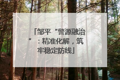 邹平“警源融治”：精准化解，筑牢稳定防线