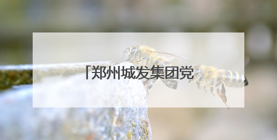 郑州城发集团党委创新驱动基层党建“书记项目”