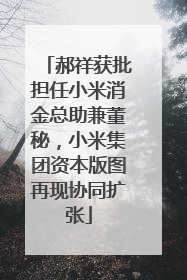 郝祥获批担任小米消金总助兼董秘，小米集团资本版图再现协同扩张