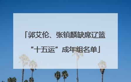 郭艾伦、张镇麟缺席辽篮“十五运”成年组名单