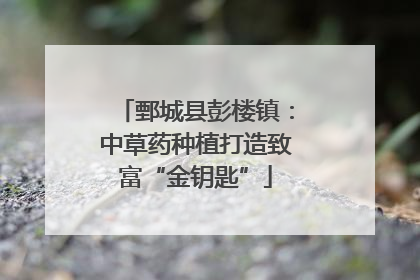 鄄城县彭楼镇：中草药种植打造致富“金钥匙”