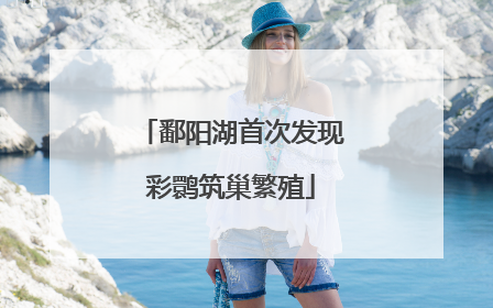 鄱阳湖首次发现彩鹮筑巢繁殖
