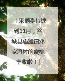 采摘季持续到11月，谷城县庙滩镇邓家湾村的蜜桃丰收啦！