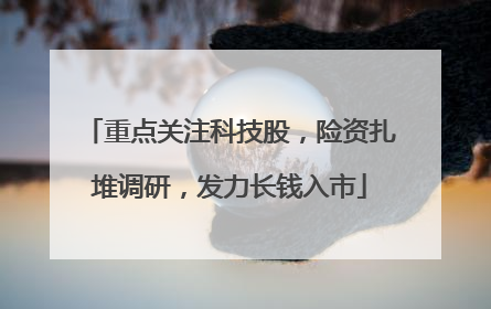 重点关注科技股，险资扎堆调研，发力长钱入市