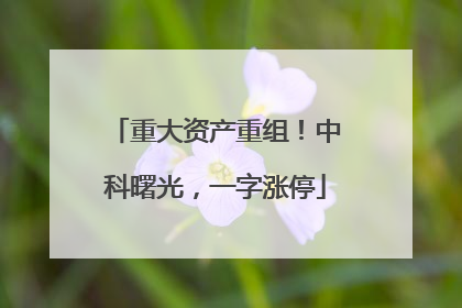 重大资产重组！中科曙光，一字涨停