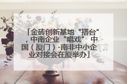 金砖创新基地“搭台”，中南企业“唱戏” 中国（厦门）-南非中小企业对接会在厦举办