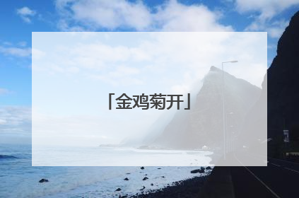 金鸡菊开