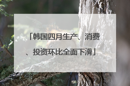 韩国四月生产、消费、投资环比全面下滑