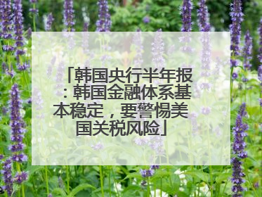 韩国央行半年报：韩国金融体系基本稳定，要警惕美国关税风险
